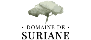 logo domaine suriane