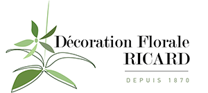 logo decoration florale ricard